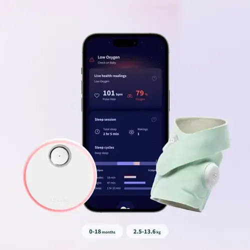 Owlet Dream Sock Monitor Mint | Baby Bunting AU