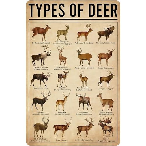 Smilelife Deer Gifts Types of Deer Vintage Tin Sign for Home Office Farmhouse Man Cave Classroom Wall Art Decor 8x12 Inch (3169)