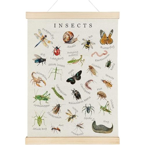 Nrleey Insects Poster Hanger Frame - Educational Wall Art, Kids Room Nursery Classroom Decor, 12x16 Inches