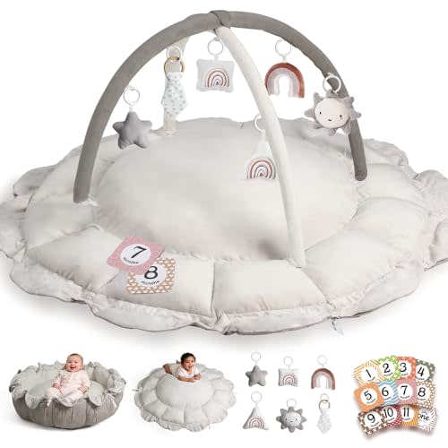 HAM-MM 5-in-1 Convertible Baby Play Gym with 6 Toys, Tummy Time Mat for Sensory Development, Baby Activity Center from Newborn to Toddler, Ball Pit, Cat & Dog Bed, Soft Plush Pet Bed, No Ball Included