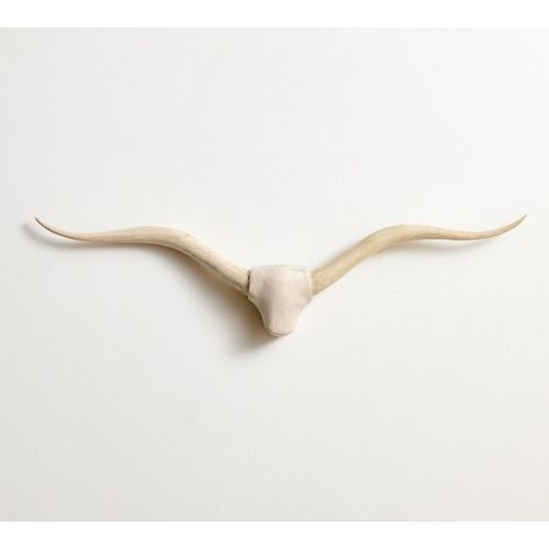 Longhorn Wall Art