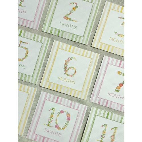 Baby Girl Floral Milestone Cards