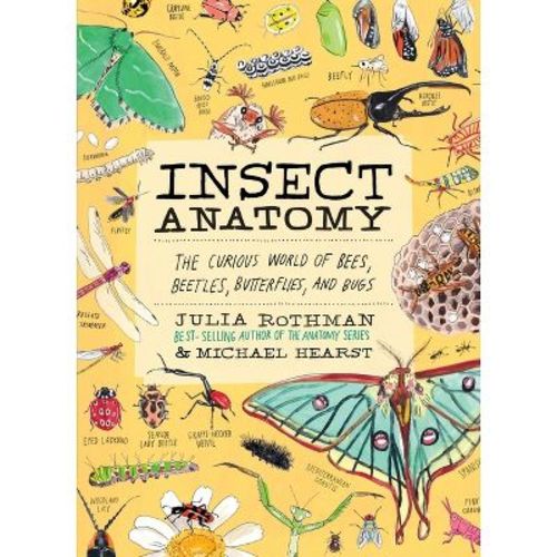 Insect Anatomy - by Julia Rothman & Michael Hearst (Paperback)