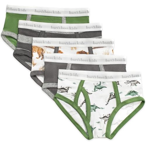 Burt's Bees Baby Boys' Underwear Set - Breathable 100% Organic Cotton Undies, Pack of 5 for Toddler 2T to 8 Years Old