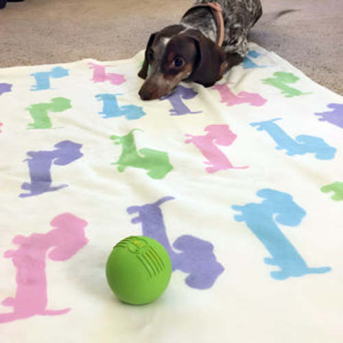Pastel Dachshund Nursery Fleece Baby Blanket