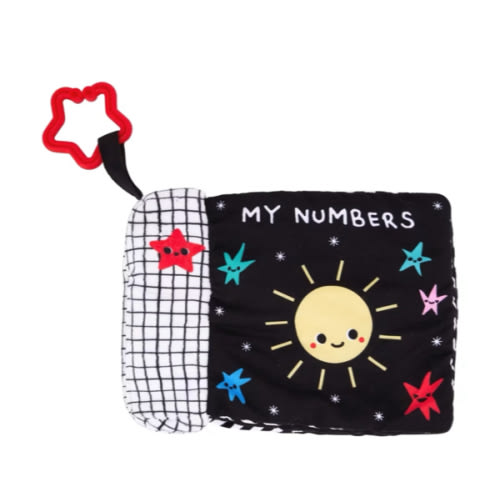 Lights and Music Pram Book