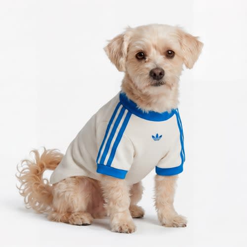 PET CALI TEE