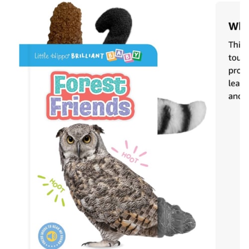 Little Hippo Books Forest Friends I Animal Sound Children's Books | Touch and Feel Books for Toddlers | Kid's Books with Sound Buttons | Educational ... Library: Baby & Toddler Premium Sound Books)