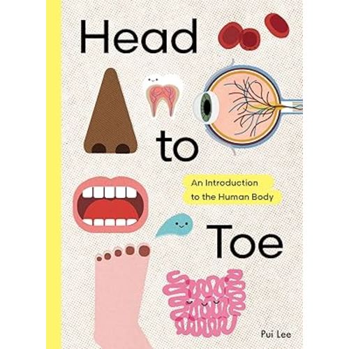 Head to Toe: An Introduction to the Human Body