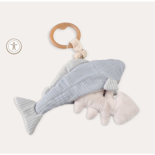 TROUT – Little Lamb Kind