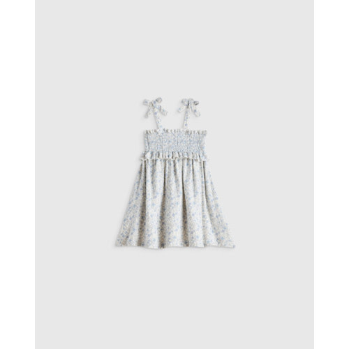 Girls Sleeveless Smocked Organic Cotton Gauze Dress - Baby in Blue Sweetpea Floral