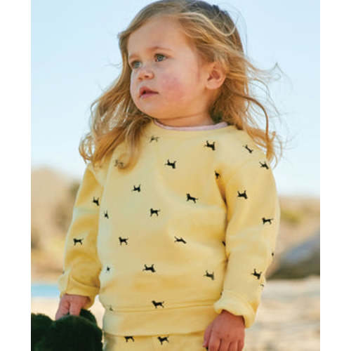 Lil Kids Tossed Dog Jogger – The Black Dog