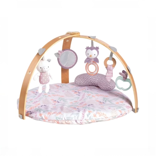 Ingenuity Cozy Spot Reversible Activity Gym, Flowers