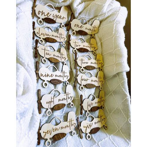 Wood Airplane Baby Milestone Markers: Laser Engraved Photo Props