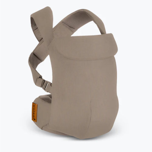 Desert Lark - Aerial Carrier – WildBird