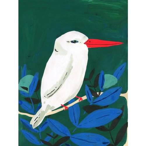 White Kingfisher by Elizabeth Graeber (11x14")
