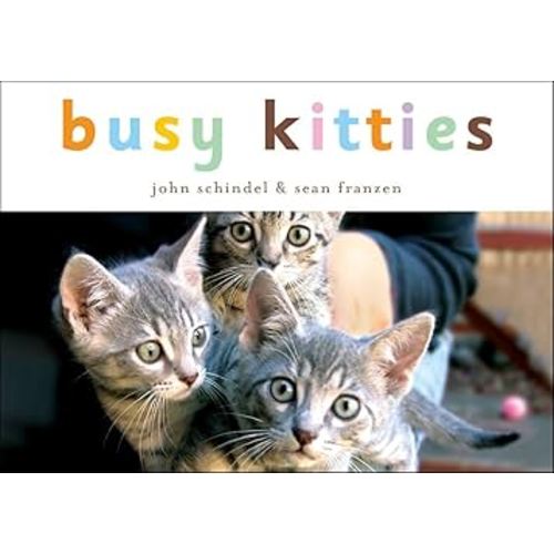 Busy Kitties (A Busy Book)