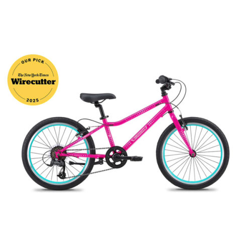 20 Inch Large Kids Bikes w/ Award-Winning SureStop – Guardian Bikes®