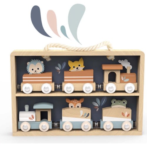 Train Set of 6 with Display Case