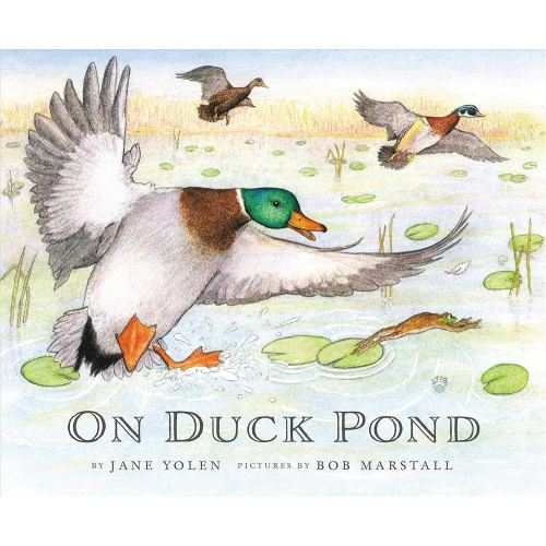 On Duck Pond (On Bird Hill and Beyond, 2)