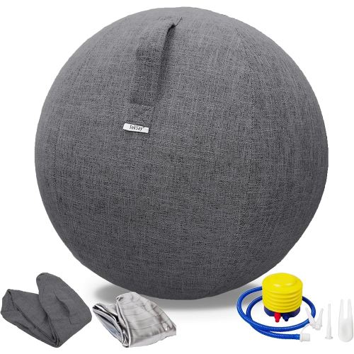 Exercise Ball Chair with Fabric Cover, Standard Size (25inches/65cm), for Home Offices, Balance Training, Yoga Ball