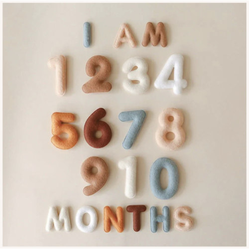 Monthly Milestone Felt Letters