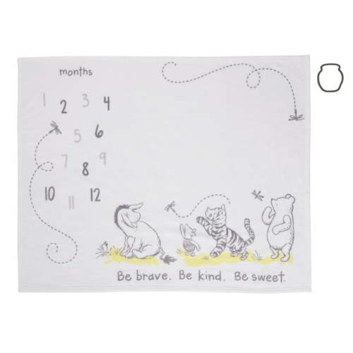 Disney Classic Winnie The Pooh Plush Milestone Baby Blanket with Felt Marker, Unisex, 40 x 50", Infant