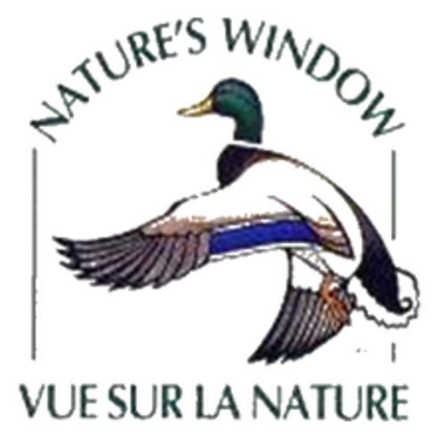 Wood Duck Night Light – Natures Window
