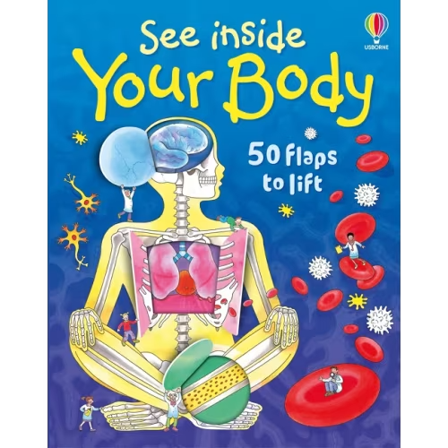 See Inside Your Body Book By Katie Daynes, (Board Book) | Indigo