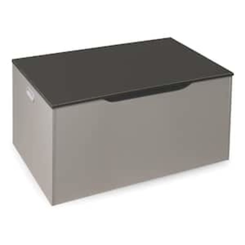 15.75 H in. x 31.5 W in. x 19 D in. Gray/Charcoal Wood Flat Bench Top Toy and Storage Box