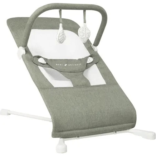 Baby Delight Highland Baby Bouncer, Sage Tweed