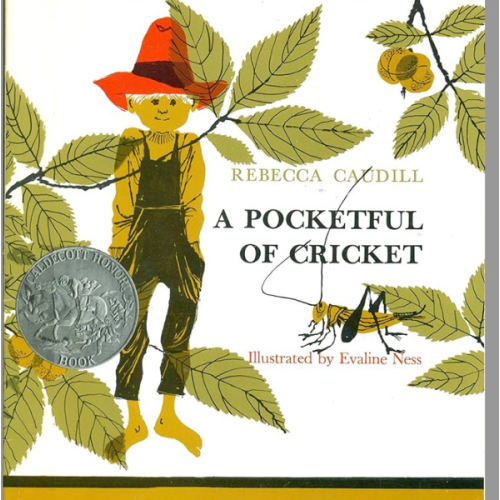 A Pocketful of Cricket