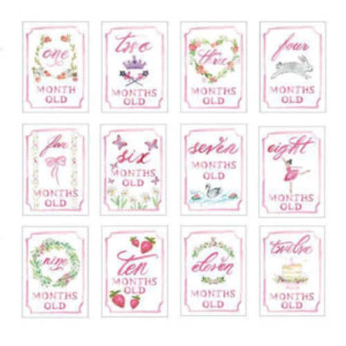 Monthly Milestone Card Set- Pink – Cheeky Baby Boutique Rome