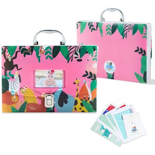 BLUSHY BABY 12 Pockets Baby File Organizer for Boy or Girl, Our Baby Paperwork Organizer with Silver Metal Handle, Lock, Pregnancy Documents, Baby Record Folder (Pink)