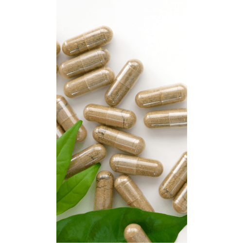 Placenta Encapsulation | ATX Doulas