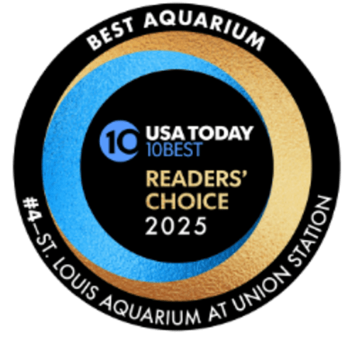 Aquarium Membership Purchase