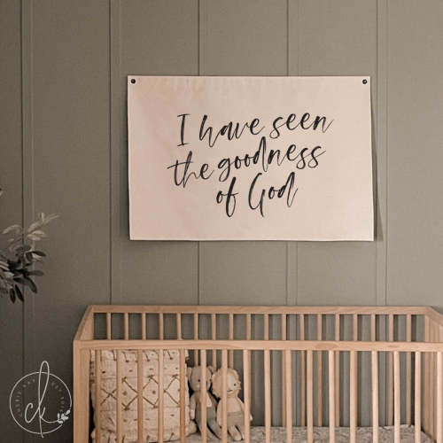 I Have Seen The Goodness Of God