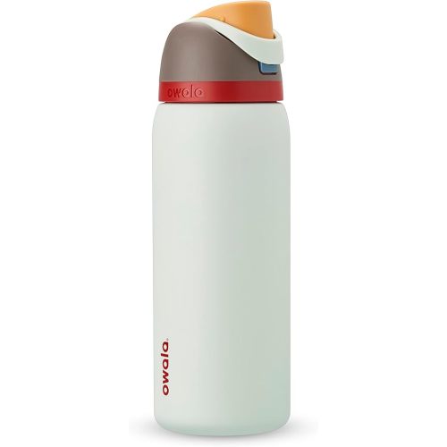 Owala FreeSip Insulated Stainless Steel Water Bottle with Straw for Sports, Travel, and School BPA-Free Sports Water Bottle, 32 oz, Boneyard