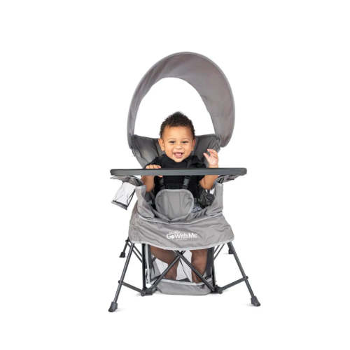 Baby Delight Go With Me Venture Deluxe Portable Chair - Gray