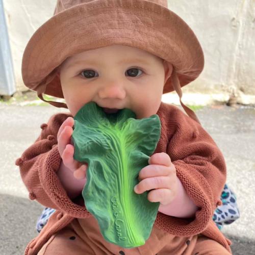 Kendall the Kale Teething Toy