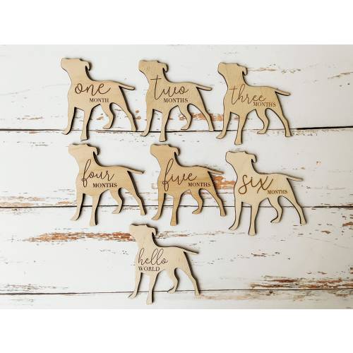 Dog Nursery Pit Bull Monthly Milestone Plaques | Dog Baby Shower Gift | Custom Pit Bull Newborn Baby Gift for Dog Nursery