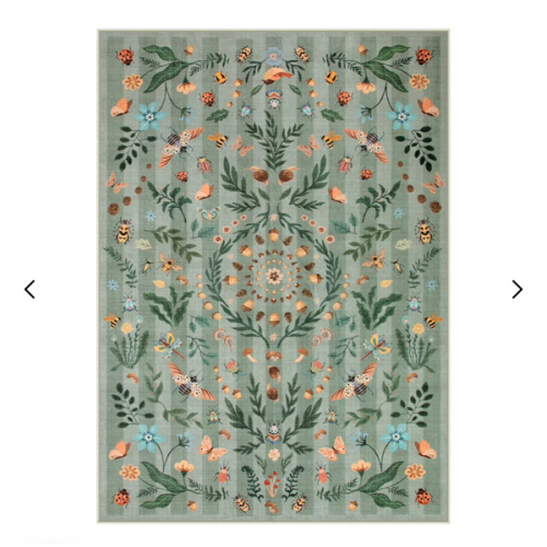 Chloe Washable Boho Insect Botanical Floral Light Green Rug 6x9