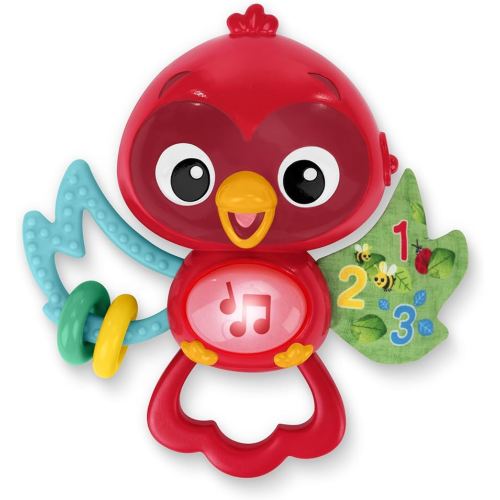 Baby Einstein Roxys Bright Flight Musical Baby Toy & Teether, Plays Real Bird Sounds with 10+ Melodies, Multisensory, Ages 3 Months and Up