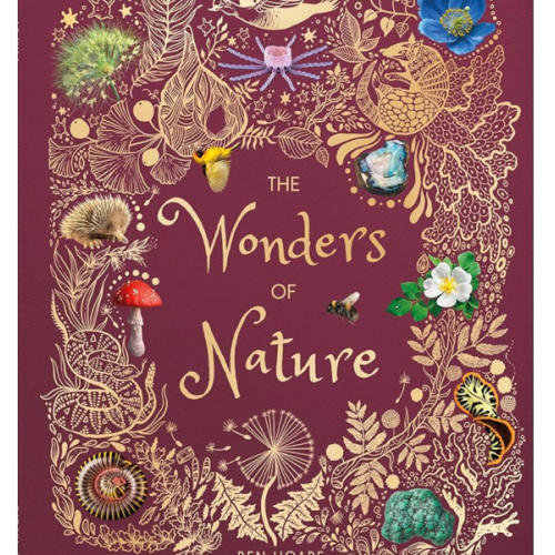 The Wonders of Nature: Discover the Incredible Stories of the Natural World (DK Children's Anthologies)