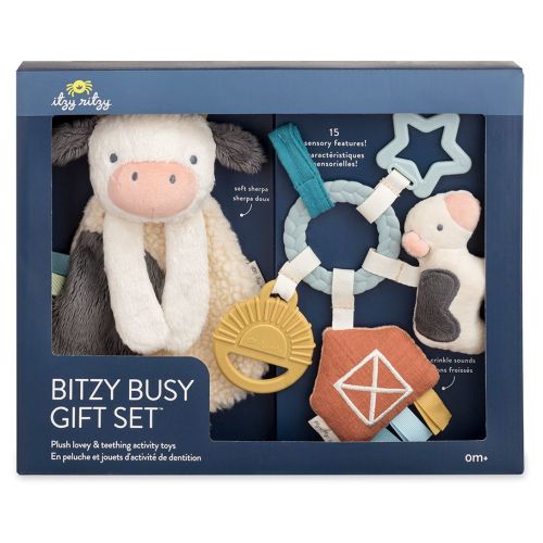 Itzy Ritzy Teether Gift Set