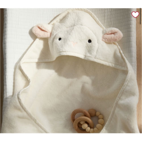 Super Soft Animal Baby Hooded Towel & Washcloth Set