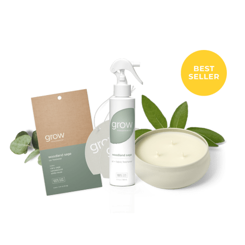Woodland Sage Bundle – Grow Fragrance