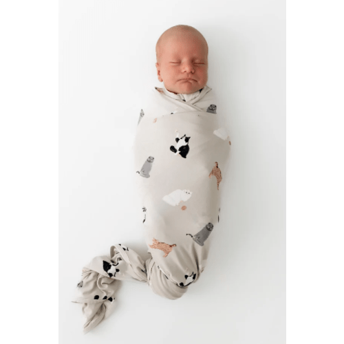 Swaddle Blanket in Fluffy Cat