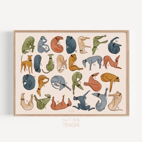 Long Dog ABC Fine Art Print- Greyhound Whippet Lurcher Art- Interior Decor- Plastic free, sustainable gifting-