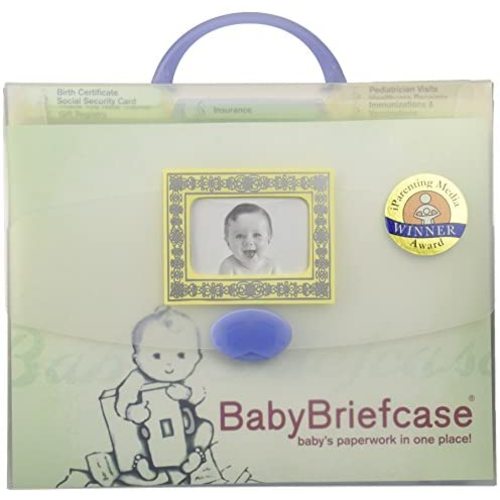 Baby Briefcase Baby Paperwork Organizer, Mint/Periwinkle